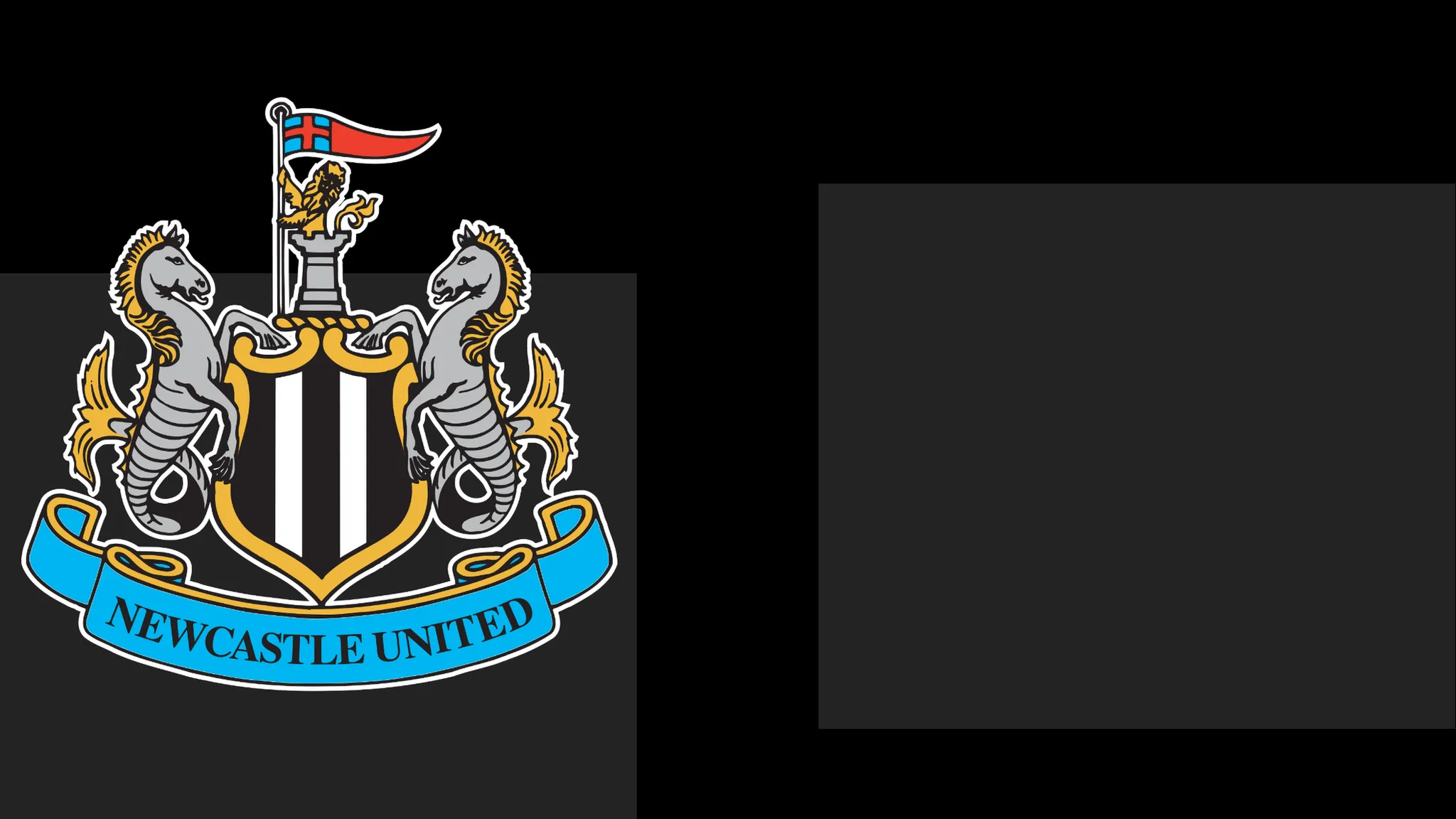 Newcastle's boss Commends Team's Spirit – But That Only Carries Them To a Point