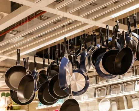 Teflon Diet, Garlic Milk and Striped Cattle Excel at 2025 Alternative Science Prizes